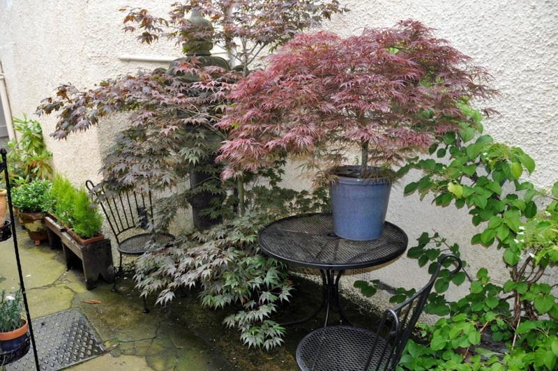 Lady Penelope'S B&B Duns Extérieur photo
